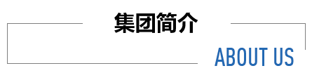 集團簡介